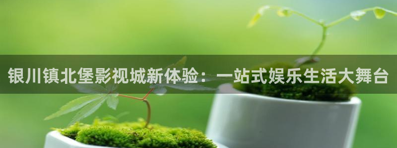 桔子tv电影：银川镇北堡影视城新体验：一站式娱乐生活大舞台