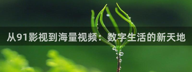 桔子影院免费入口