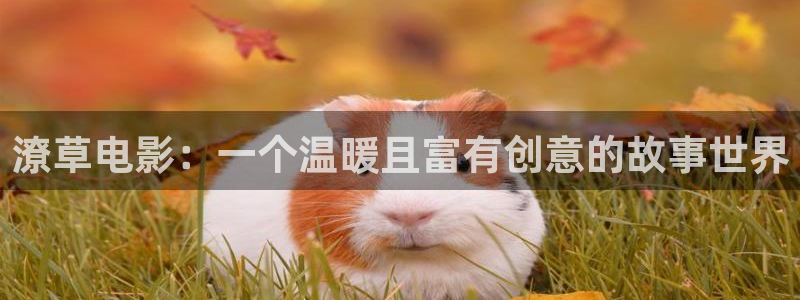 桔子电影网址：潦草电影：一个温暖且富有创意的故事世界