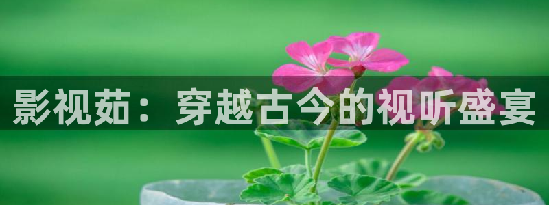 桔子影院在线：影视茹：穿越古今的视听盛宴